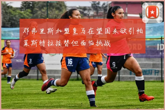 邓弗里斯加盟皇马在望国米欲引帕莱斯特拉接替但面临挑战